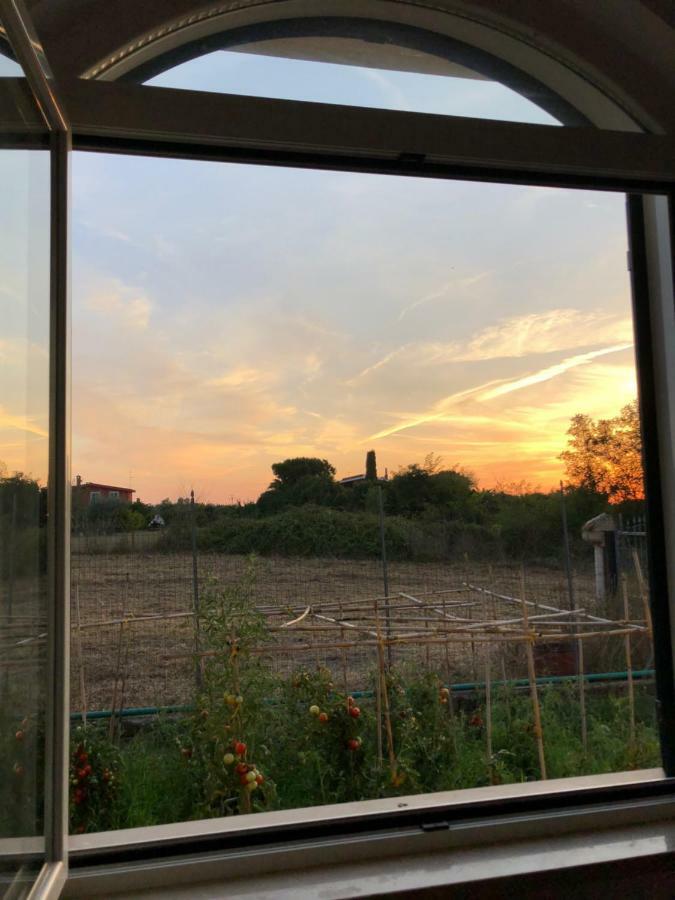 Agriturismo "Lo Zafferano" Aprilia Kültér fotó